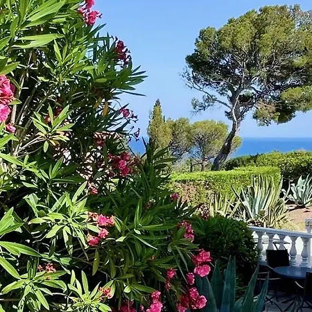 Casa vacanze Laurier Comfortable *